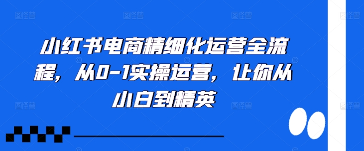 小红书电商精细化运营全流程，从0-1实操运营，让你从小白到精英-淘金日记