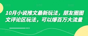 10月小说推文最新玩法，朋友圈图文评论区玩法，可以爆百万大流量 -淘金日记