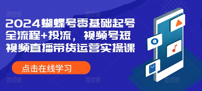 2024蝴蝶号零基础起号全流程+投流，视频号短视频直播带货运营实操课-淘金日记