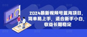 2024最新视频号蓝海项目,简单易上手,适合新手小白,收益长期稳定-淘金日记