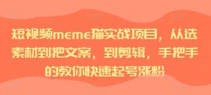 短视频meme猫实战项目,从选素材到把文案,到剪辑,手把手的教你快速起号涨粉-淘金日记