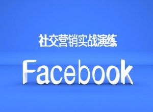 Facebook社交营销实战演练,外贸人绝对不能错过的营销推广平台-淘金日记