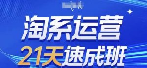 淘系运营21天速成班(更新24年10月),0基础轻松搞定淘系运营,不做假把式-淘金日记