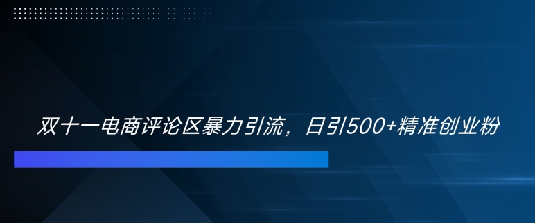 双十一电商评论区暴力引流,日引500+精准创业粉【揭秘】-淘金日记