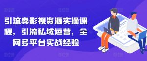 引流卖影视资源实操课程，引流私域运营，全网多平台实战经验-淘金日记