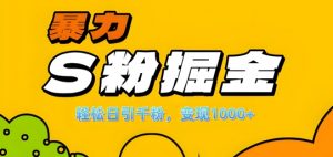 单人单机日引千粉，变现1k+，S粉流量掘金计划攻略【揭秘】-淘金日记