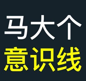 马大个意识线，一门改变人生意识的课程，讲解什么是能力线什么是意识线-淘金日记