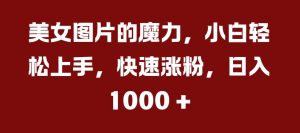 美女图片的魔力，小白轻松上手，快速涨粉，日入几张【揭秘】-淘金日记
