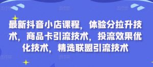 最新抖音小店课程，体验分拉升技术，商品卡引流技术，投流效果优化技术，精选联盟引流技术-淘金日记