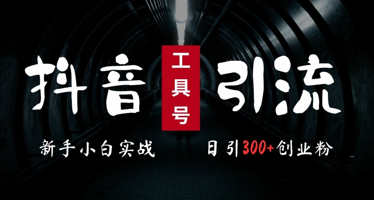 2024最新抖音工具号引流玩法，高效日引300+创业粉，当天变现5k，小白也可成为实战高手-淘金日记