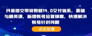 抖音图文带货教程14.0交付体系,基础与精英课,新增账号运营锦囊,快速解决账号针对问题-淘金日记