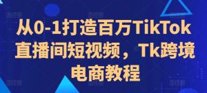 从0-1打造百万TikTok直播间短视频,Tk跨境电商教程-淘金日记
