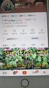 最新抖音暴力起万粉技术，一天涨万粉，发三四个作品涨近万粉-淘金日记