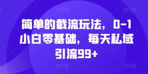 简单的截流玩法,0-1小白零基础,每天私域引流99+【揭秘】-淘金日记