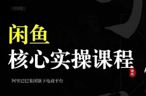 2024闲鱼核心实操课程,从养号、选品、发布、销售,教你做一个出单的闲鱼号-淘金日记