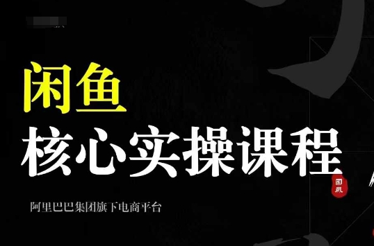 2024闲鱼核心实操课程,从养号、选品、发布、销售,教你做一个出单的闲鱼号-淘金日记