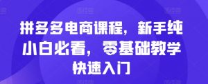 拼多多电商课程,新手纯小白必看,零基础教学快速入门-淘金日记