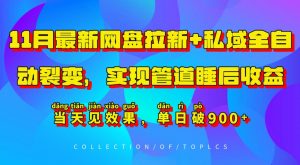 11月最新网盘拉新+私域全自动裂变，实现管道睡后收益，当天见效果，单日破900+-淘金日记