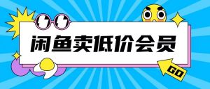 外面收费998的闲鱼低价充值会员搬砖玩法号称日入200+-淘金日记