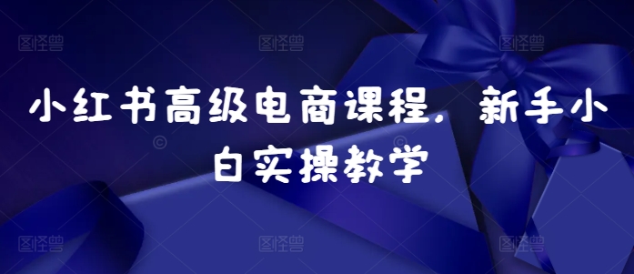 小红书高级电商课程,新手小白实操教学-淘金日记