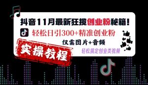 抖音11月最新狂揽创业粉秘籍,轻松日引300+精准创业粉,仅需图片+音频,轻松搞定创业类视频-淘金日记