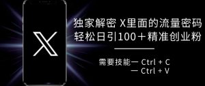 独家解密 X 里面的流量密码,复制粘贴轻松日引100+-淘金日记