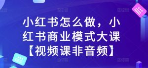 小红书怎么做,小红书商业模式大课【视频课非音频】-淘金日记
