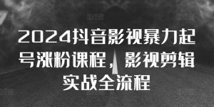 2024抖音影视暴力起号涨粉课程,影视剪辑搬运实战全流程-淘金日记
