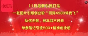 小红书11月最新图片打粉,一张图片引爆创业粉,“预算4980带我飞”,单条引流500+精准创业粉-淘金日记