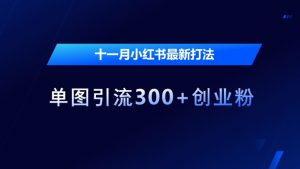 十一月小红书最新打法,单图引流300+创业粉【揭秘】-淘金日记