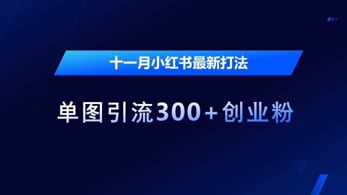 十一月小红书最新打法，单图引流300+创业粉【揭秘】-淘金日记