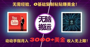 无需经验，0基础复制粘贴赚美刀，动动手指，月入3000+刀，无上限【揭秘】-淘金日记