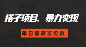 2024搭子玩法,0门槛,暴力变现,单日最高破四位数【揭秘】-淘金日记
