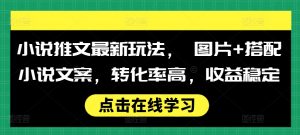 小说推文最新玩法， 图片+搭配小说文案，转化率高，收益稳定-淘金日记