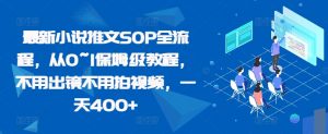最新小说推文SOP全流程,从0~1保姆级教程,不用出镜不用拍视频,一天400+-淘金日记