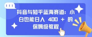 抖音与知乎蓝海赛道:小白也能日入 4张 的保姆级教程-淘金日记