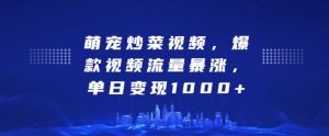 萌宠炒菜视频,爆款视频流量暴涨,单日变现1k-淘金日记