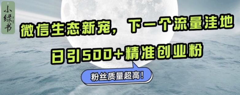 微信生态新宠小绿书:下一个流量洼地,日引500+精准创业粉,粉丝质量超高-淘金日记