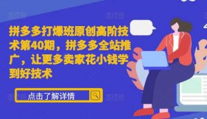拼多多打爆班原创高阶技术第40期,拼多多全站推广,让更多卖家花小钱学到好技术-淘金日记