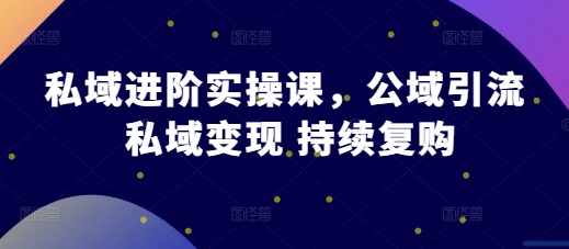 私域进阶实操课,公域引流 私域变现 持续复购-淘金日记
