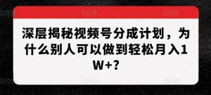 深层揭秘视频号分成计划，为什么别人可以做到轻松月入1W+?-淘金日记