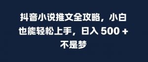 抖音小说推文全攻略，小白也能轻松上手，日入 5张+ 不是梦【揭秘】-淘金日记