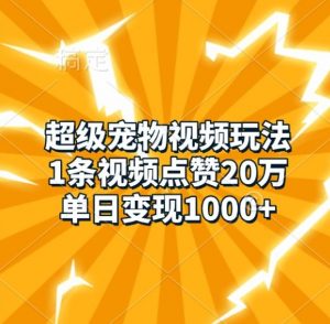 超级宠物视频玩法，1条视频点赞20万，单日变现1k-淘金日记
