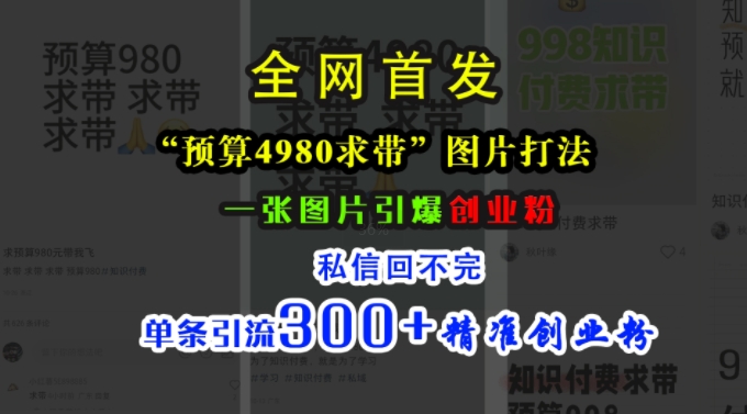 小红书“预算4980带我飞”图片打法，一张图片引爆创业粉，私信回不完，单条引流300+精准创业粉-淘金日记