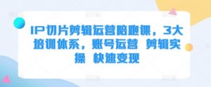 IP切片剪辑运营陪跑课，3大培训体系，账号运营 剪辑实操 快速变现-淘金日记