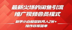 闲鱼引流推广影视会员,0成本就可以操作,新手小白月入过W+【揭秘】-淘金日记