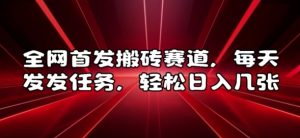 全网首发搬砖赛道，每天发发任务，轻松日入几张【揭秘】-淘金日记