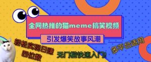 全网热推的猫咪搞笑视频，引发爆笑故事风潮，多平台适用，轻松实现日入四位数，无门槛快速入门!-淘金日记