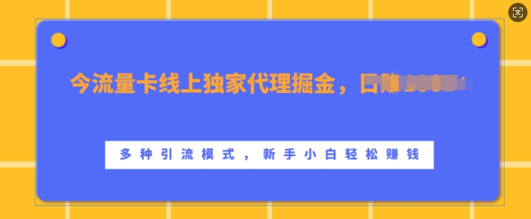 流量卡线上独家代理掘金，日入1k+ ，多种引流模式，新手小白轻松上手【揭秘】-淘金日记