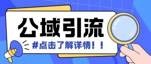 全公域平台,引流创业粉自热模版玩法,号称日引500+创业粉可矩阵操作-淘金日记